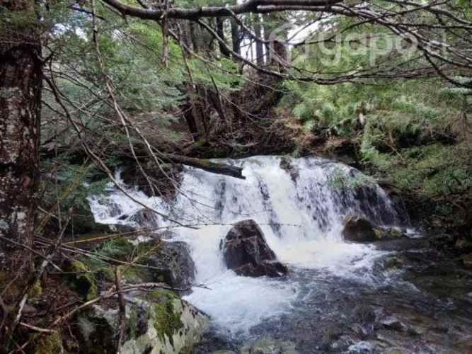 Parcelas de Agrado a 8km melipeuco 20% PIE