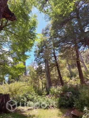 Parcelas de Agrado a 8km melipeuco 20% PIE