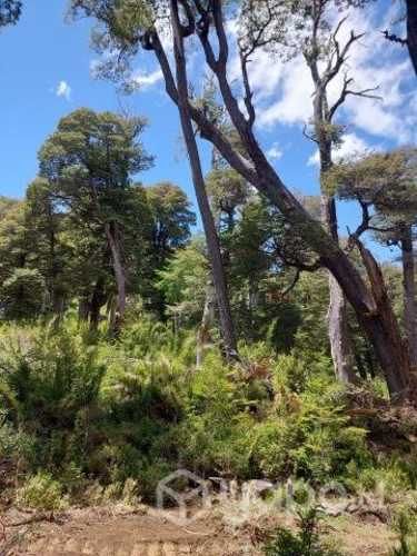 Parcelas de Agrado a 8km melipeuco 20% PIE