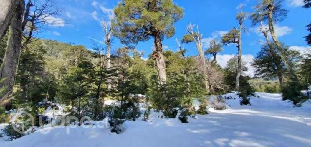 Parcelas de Agrado a 8km melipeuco 20% PIE