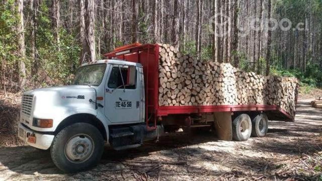 Se vende Camion International grúa 1999
