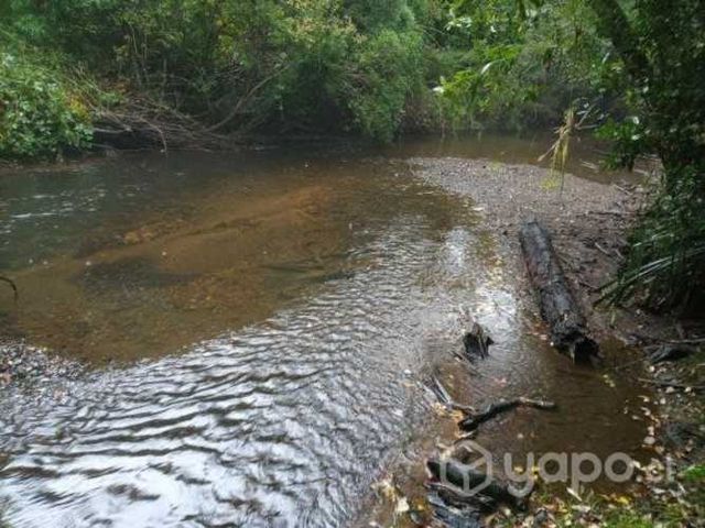 Predio de 3.17 ha. con bosque nativo y rio