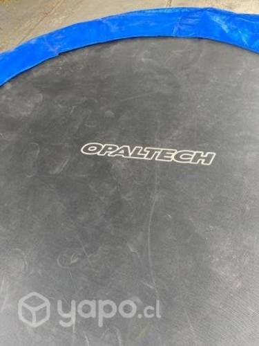 Cama elastica grande