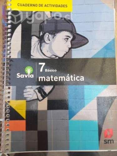 Libros de estudio para 7 basico