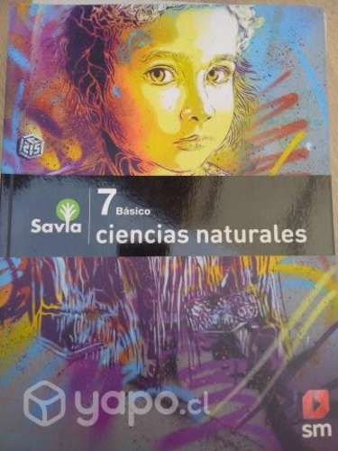 Libros de estudio para 7 basico