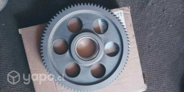 Piñon loco culata npr nuevo