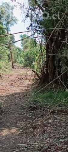 Se vende campo subdividido