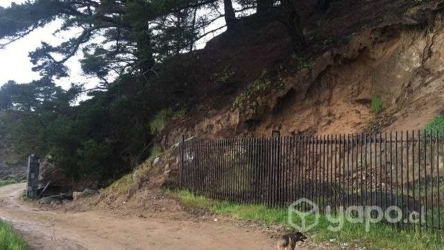 Vendo 1.900m2 de terreno vista al mar Coliumo