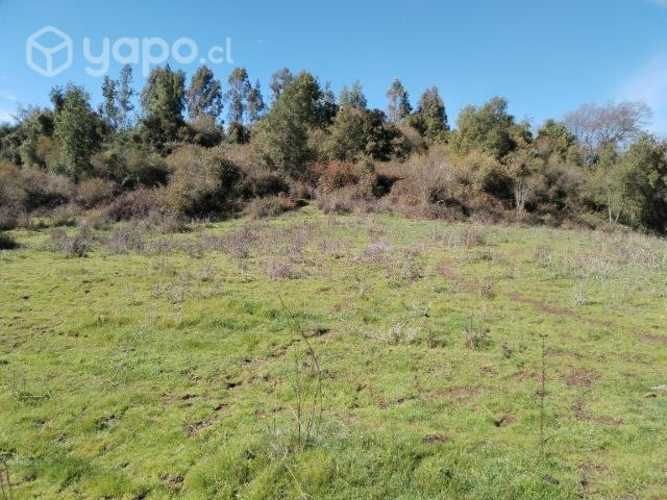 Parcela en las lomas de san clemente