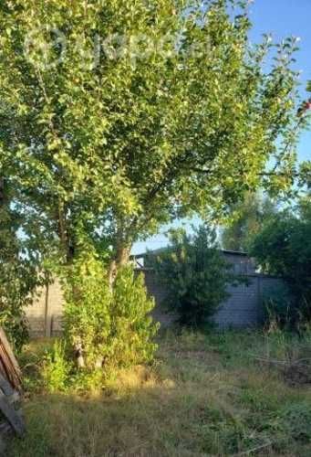 Casa Pitrufquén - Céntrico