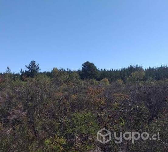 Se vende terreno 5000m2