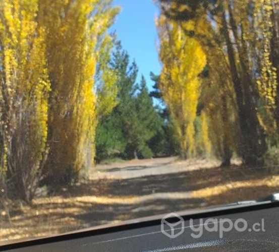 Se vende terreno 5000m2