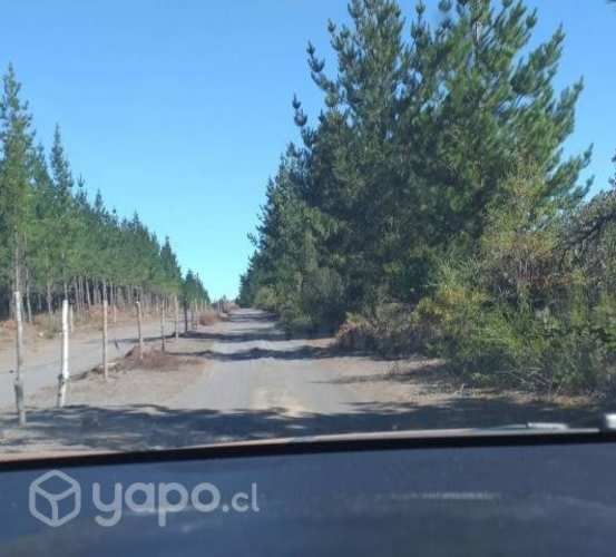 Se vende terreno 5000m2