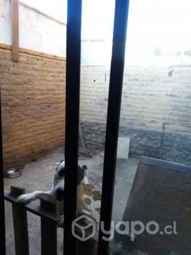 Departamento Tomé/Eduardo Cordero