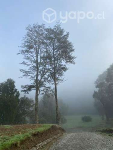PARCELA SOÑADA - Sector Las Quemas, Borde de Río