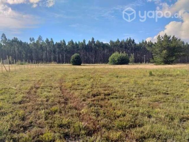 Vendo parcela plana mariquina