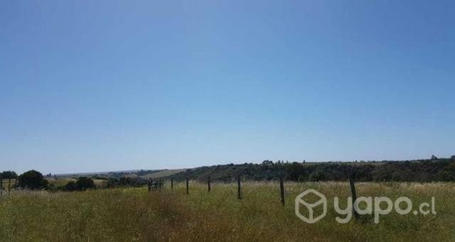 Parcela Plana 5000 m2 El Convento Santo Domingo