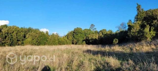 VENDO PARCELA, ESPECTACULAR Vista al Lago Puyehue
