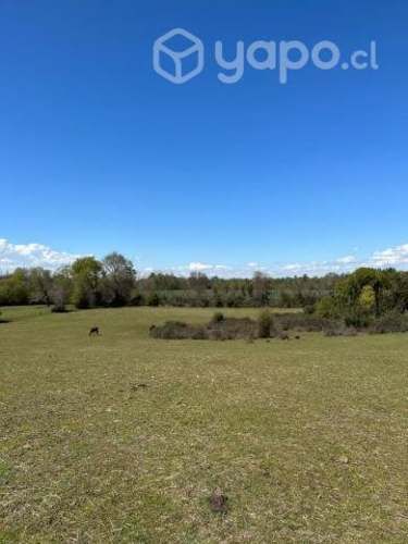 Se Venden Parcelas En Sector El Castillo De Yungay