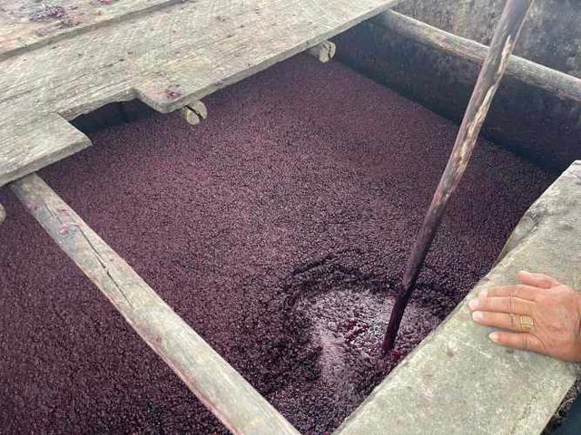 Parcela 2,5 hectáreas,  con Casa 231m2 luz y agua potable