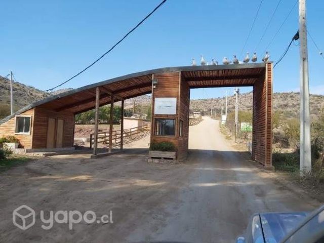 Vendo 2 parcelas juntas de 5.000 mt2 c/u