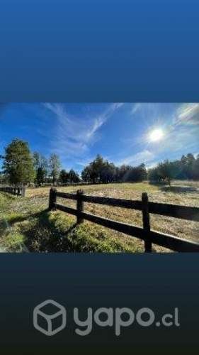 Hermosa parcela en Villarrica