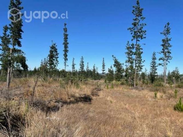 Increíble Oportunidad en Oasis de Litueche
