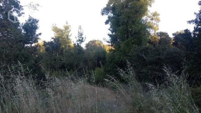 Parcela a 20 min los Ángeles