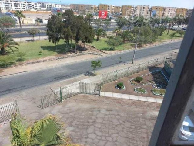 Dpto. Arica en Pucarani