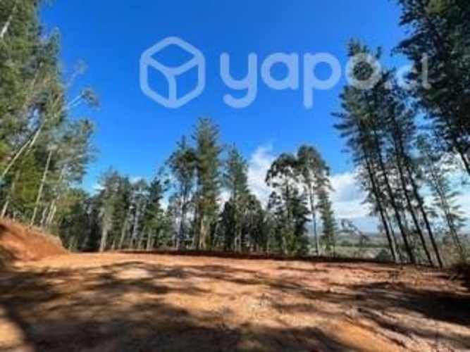 Parcela a 12 minutos de Valdivia