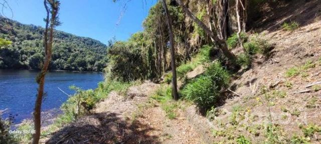 Terreno único con Playa, Lago y vista espectacular