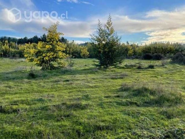 Quillón. Parcela plana Vegas del Sauzal