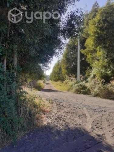 Venta de parcela, en sector la colonia