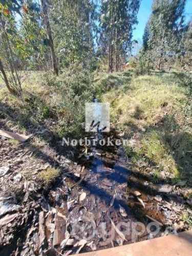 Parcela con 2 cabañas, comuna Los Lagos / Los Ríos