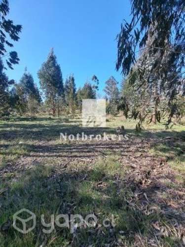 Parcela con 2 cabañas, comuna Los Lagos / Los Ríos