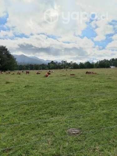 Se venden Parcelas en puerto montt