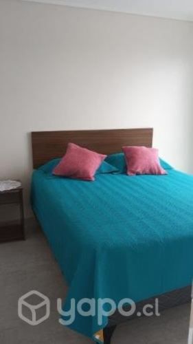 Arriendo departamento amoblado año corrido