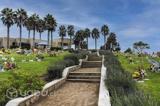 Venta de Sepultura Parque Coquimbo