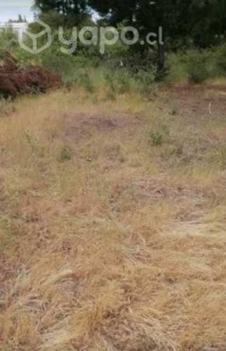 Vendo terreno en Yumbel