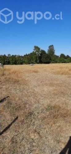 Terreno en Entre lagos (Puyehue)
