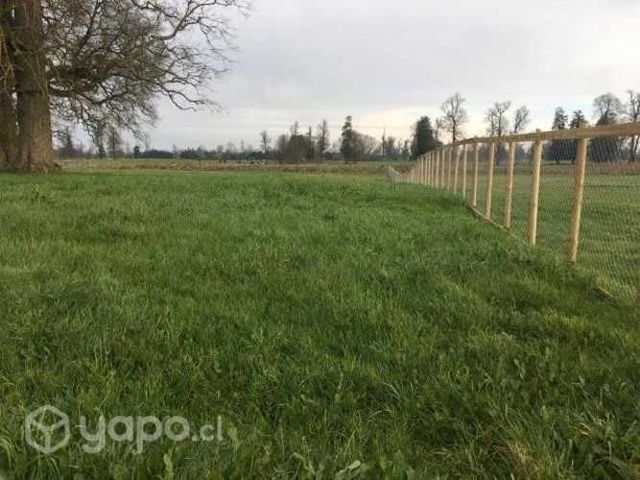 Parcela en Osorno, Casa de Lata