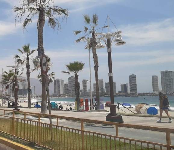 Departamento amoblado diarios Playa Cavancha