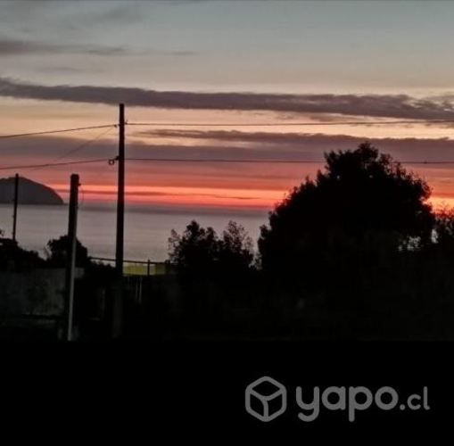 Cabañas año corrido