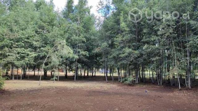 Parcela lefun / 5000 m2