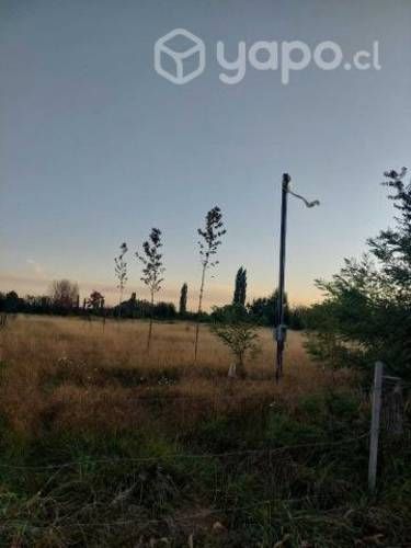 Parcela 5000m2 Bio Bio Los Angeles Camino Antuco