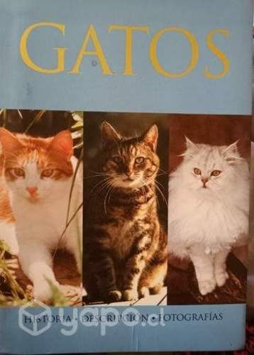 Gatos,guia sobre el mundo felino