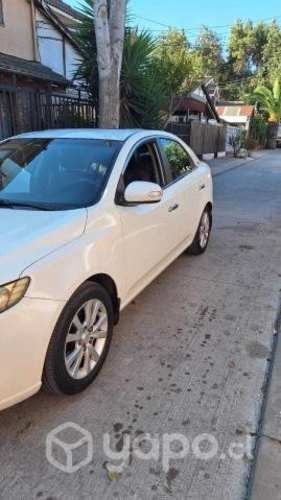 Kia motors cerato 2011