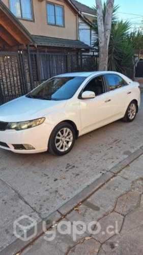 Kia motors cerato 2011