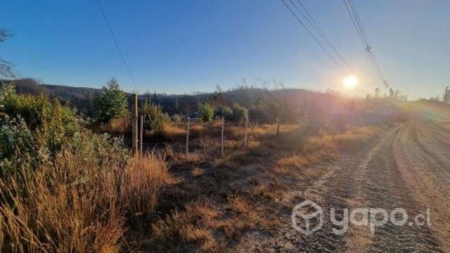 Vendo Terreno en Tomé sector Loma Alta. 928 m2