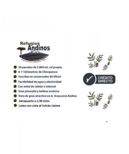 Parcela parque nacional conguillio